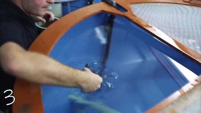 5 САМЫХ ДОБРЫХ ПОСТУПКОВ ЛЮДЕЙ! смотреть онлайн