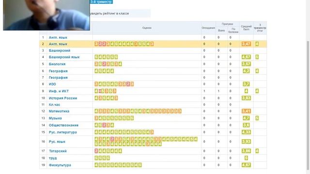 Как изменить оценку в Дневник Ру? смотреть онлайн