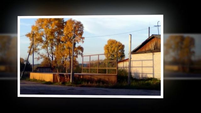У берез и сосен... смотреть онлайн