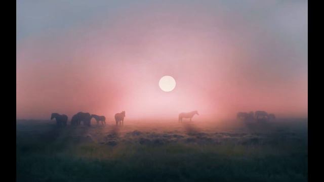 10 1 Клип Песня Если я заболею Исполняет Волуев Иван Васильевич смотреть онлайн