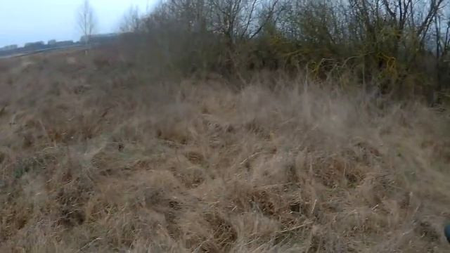 Огромный заяц. Красивая охота на зайца 2020 смотреть онлайн