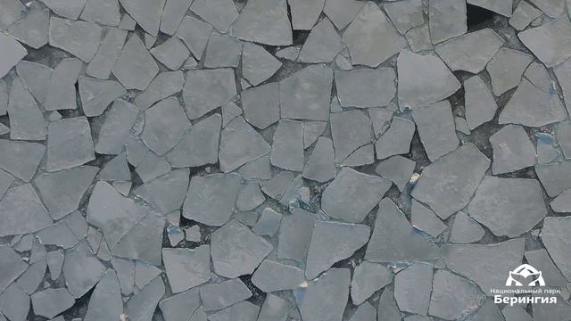 Поле льда разломало в бухте Провидения смотреть онлайн
