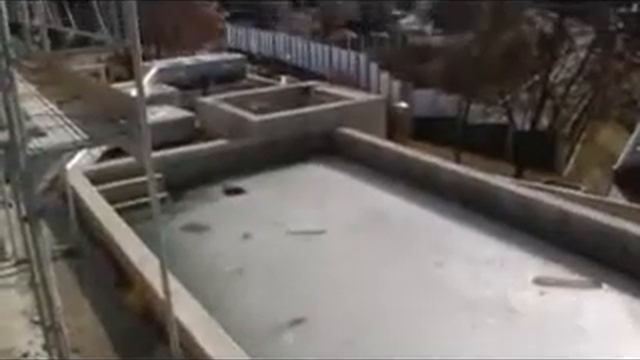 Cedric Piscine De Belmont