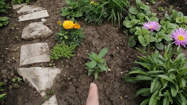 🌞обзор дачи на 13 июня 2022🌞 смотреть онлайн