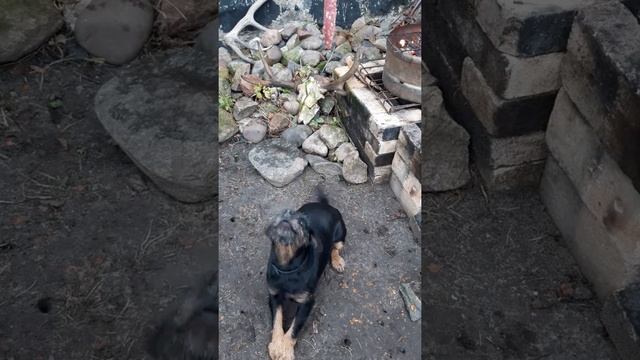 Рецепт этого блюда приснился мне сегодня ночью смотреть онлайн