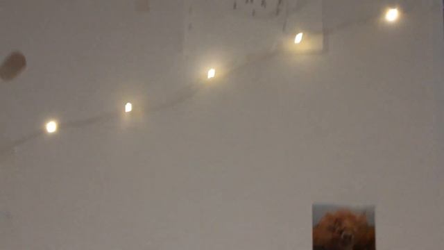 Как оформить комнату в стиле Goblincore? ??? смотреть онлайн