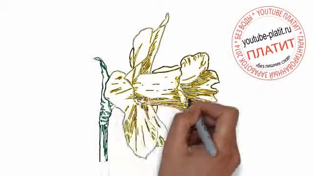 Нарисованные цветы Как нарисовать незабудку простым карандашом поэтапно смотреть онлайн