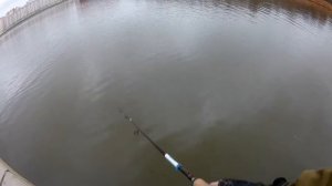 Дудергофский канал. Рыбалка пуще неволи