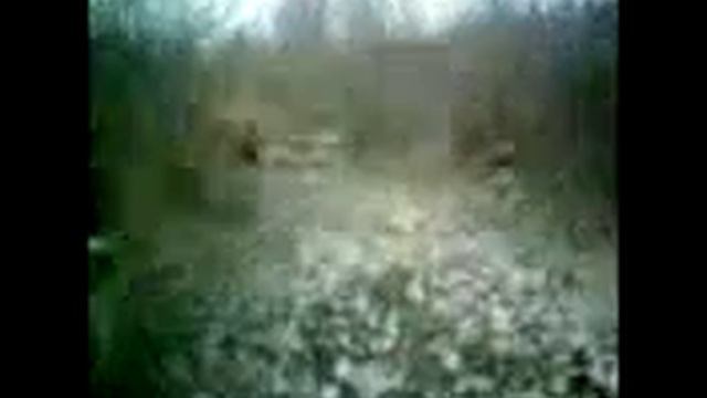 Город грехов Wolf version.3gp смотреть онлайн