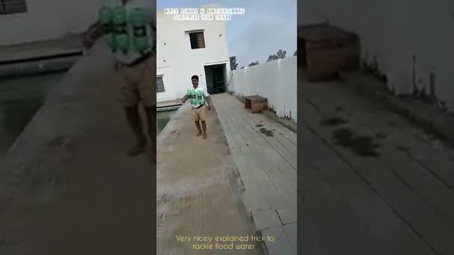 How to save yourself from flood 💦 смотреть онлайн