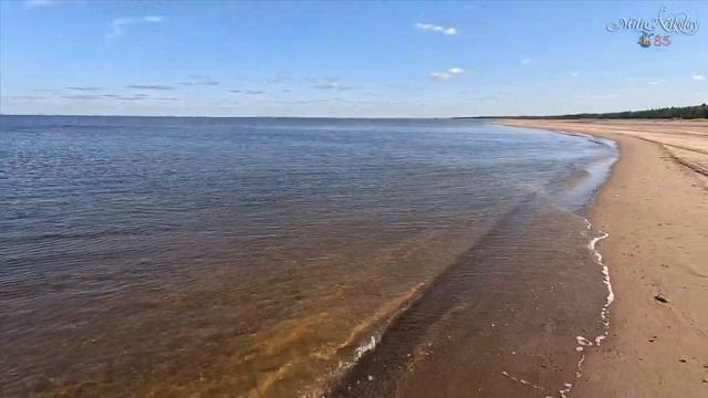 Летний берег Белого моря смотреть онлайн
