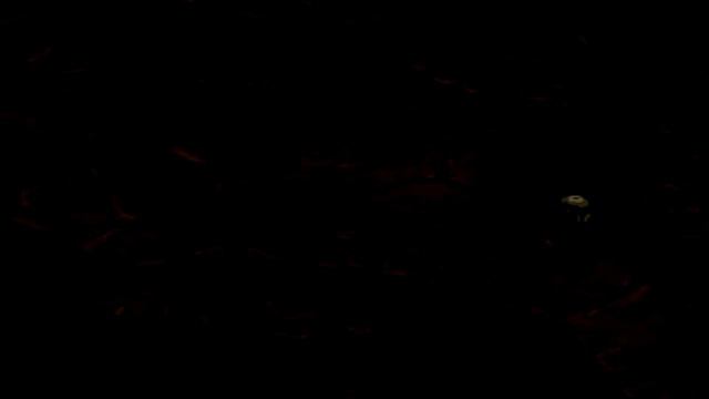 (#3) Прохождение Breath of fire 4 смотреть онлайн