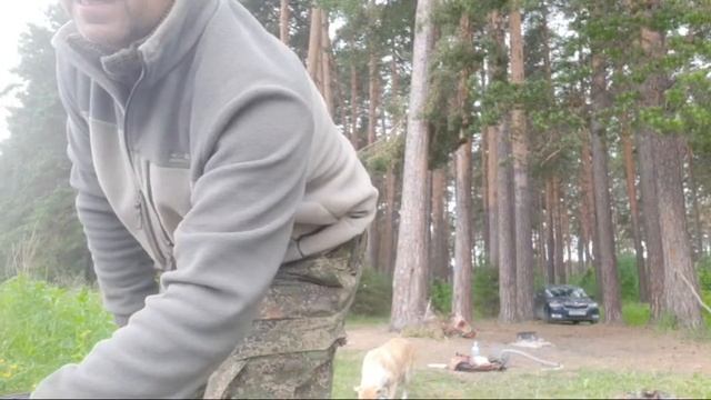 ЛОВЛЮ В СЫСЕРТИ ОНЛАЙН. ОТВЕЧАЮ НА ВОПРОСЫ О КЛЕВЕ. смотреть онлайн