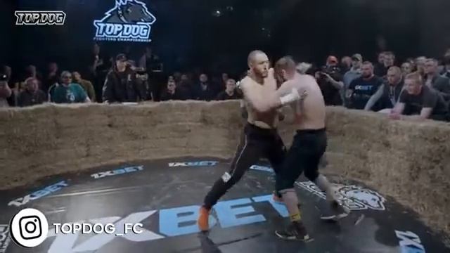 TDFC-5 Панда - Тарас смотреть онлайн
