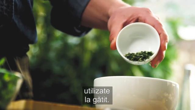 Uleiul esențial de Rozmarin смотреть онлайн