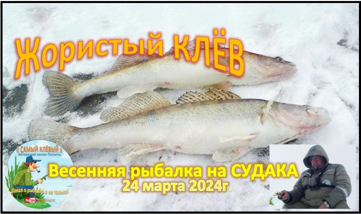 ЖОРИСТЫЙ КЛЁВ! ВЕСЕНЯЯ РЫБАЛКА на реке КАМА. смотреть онлайн