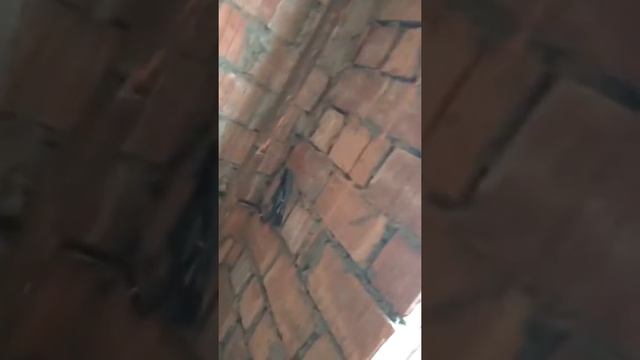 монтаж электропроводки в 1 комнатной квартире смотреть онлайн