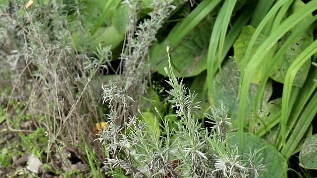 Модные тренды сезона