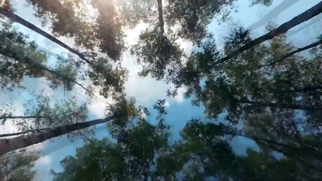 ИГОРЬ СЛУЦКИЙ - Это Россия смотреть онлайн