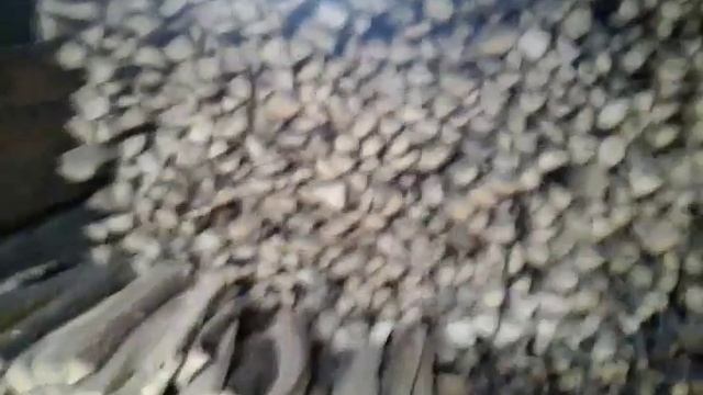 Что делать если к тебе пристают в школе !? смотреть онлайн