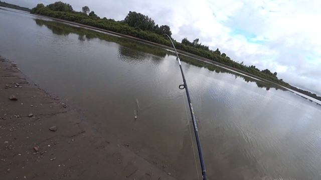 Последняя рыбалка на судака в этом сезоне на нарезку смотреть онлайн