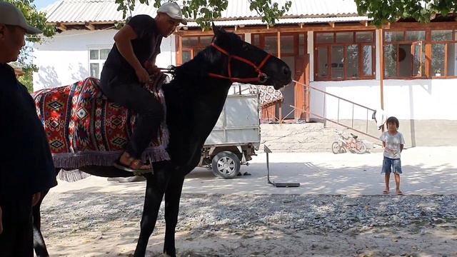 21 сентября 2022 г.(2) смотреть онлайн