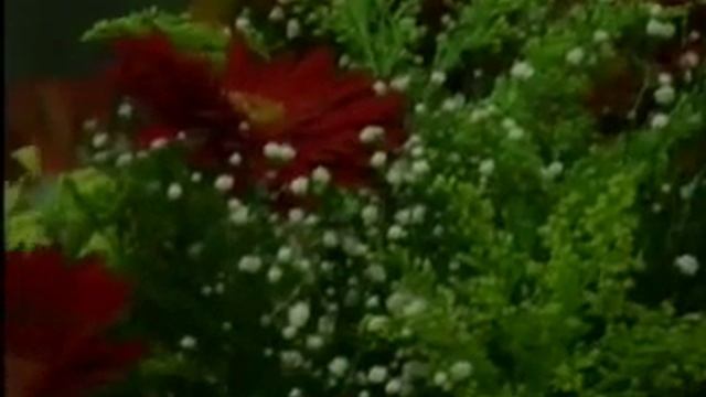 Mooji Music. Jai Sita Ram! Jai Hanuman смотреть онлайн