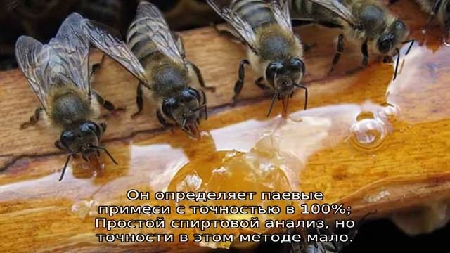 Сколько рамок с медом оставлять пчелам на зиму смотреть онлайн