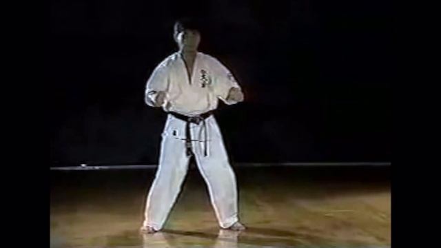 World Oyama Karate BASIC KATA No.1-8 смотреть онлайн