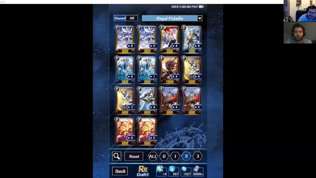 Royal Paladins Overview! (Vanguard Zero)