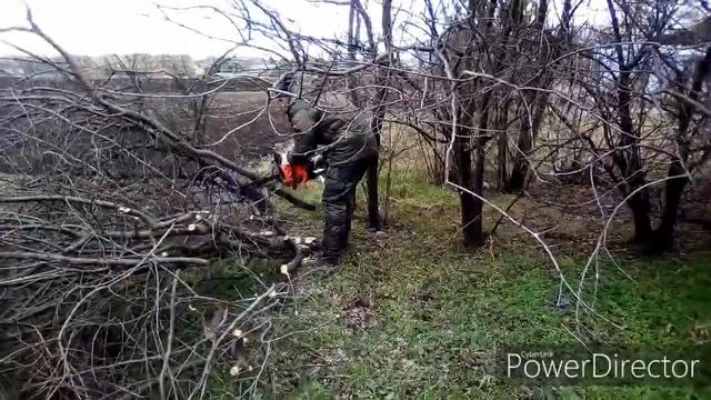 Подготовка территории. Бензопила Брайт. смотреть онлайн