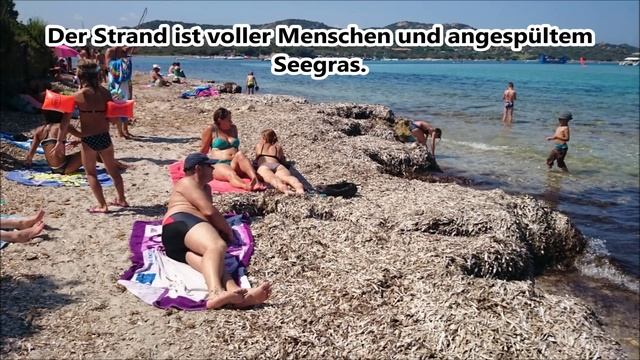 Mit dem Simson-Moped nach Korsika (Reisebericht Teil 11/21) смотреть онлайн