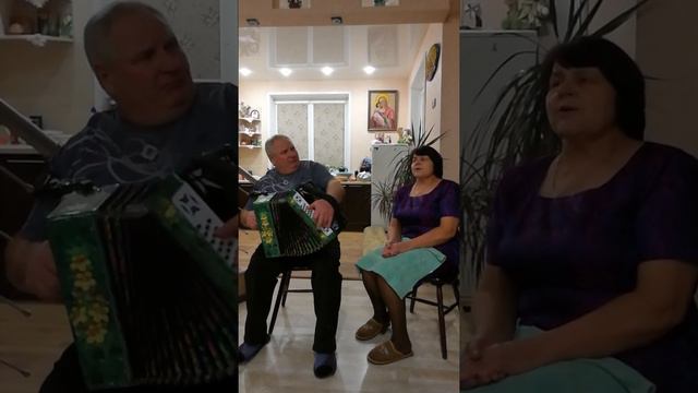 Гармошка рулит смотреть онлайн