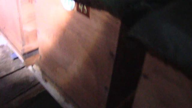 Отличная зимовка пчёл.