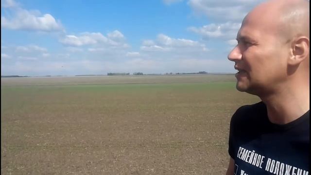 Нюансы защиты двудольных культур