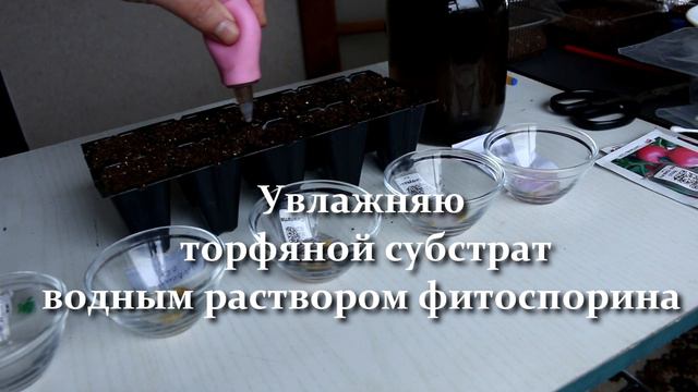 Секреты про Перец ! Посев Перца на Рассаду Быстро и БЕЗ Заморочек смотреть онлайн