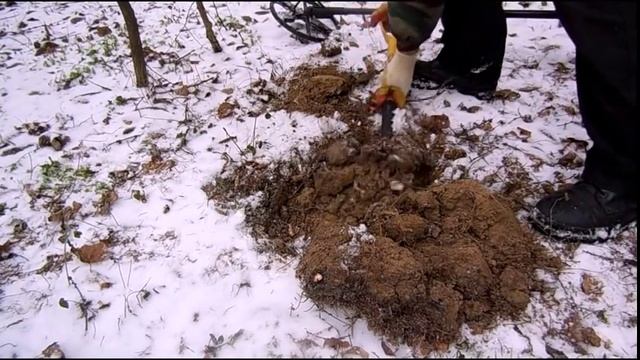 декабрь 2014 зимний пробочный коп в лесу или TEST coil MINELAB FBS 11" DD after repare смотреть онлайн