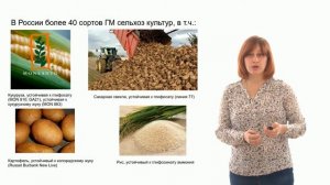 Современные технологии в растениеводстве