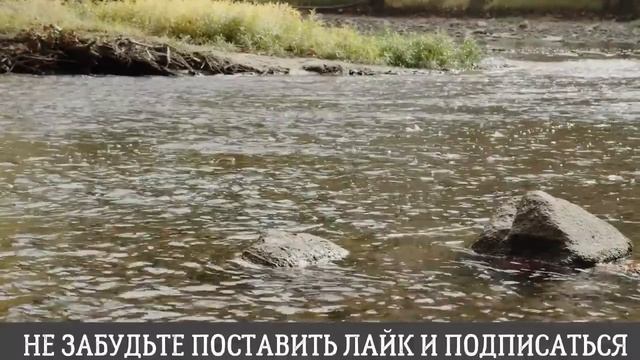Ты что замужем?...Интересные истории из жизни. Аудиорассказ смотреть онлайн