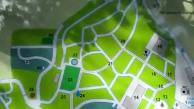 Секвойя ВЗ редвуд в Никитском ботаническом Крыма Июнь 2022 смотреть онлайн