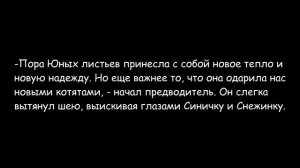 Коты-воители и их знаки зодиака