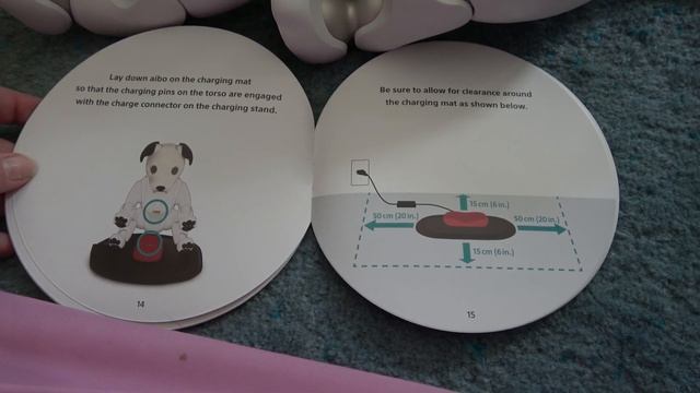 Aibo - Setup Attempt смотреть онлайн