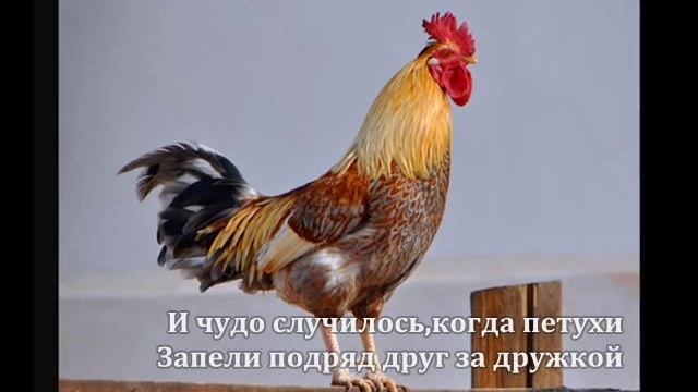 Буратино в стране дураков смотреть онлайн