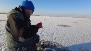Зимняя ловля окуня на балансиры и блесны | Горьковское водохранилище