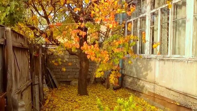ЛИСТОПАД В СРЕДНЕЙ АЗИИ смотреть онлайн