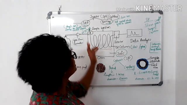 FSO|Food Safety Officer|Gas Chromatography| #FSO2020 смотреть онлайн