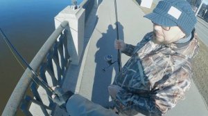 Стритфишинг на Неве. Спиннинг в Питере. Невский джиг.Рыбалка в Ленинградской области.