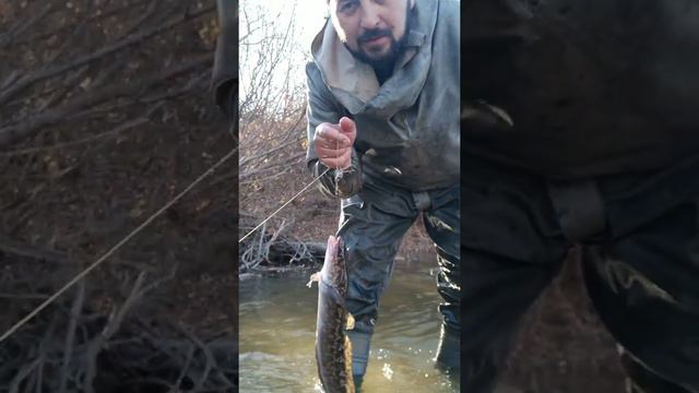 Дима ТВ Рыбалки в Петропавловске 10 часть смотреть онлайн