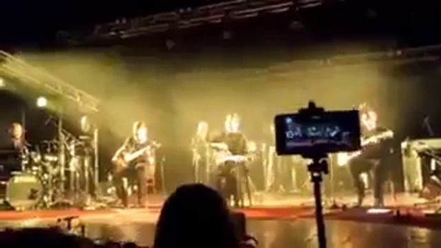 Звери смотреть онлайн