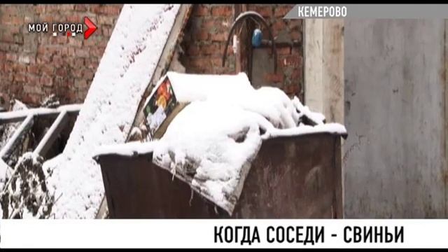 Фермер держит больше ста голов свиней, а жители улицы Зейская в Кемерове страдают от запаха и мух смотреть онлайн